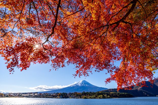 年末年始のお休み　12月30日より1月3日迄頂きます！